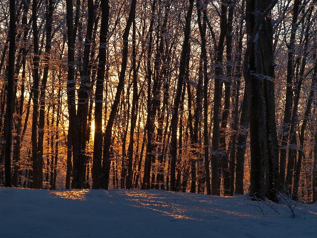 a0025576_20524216.jpg