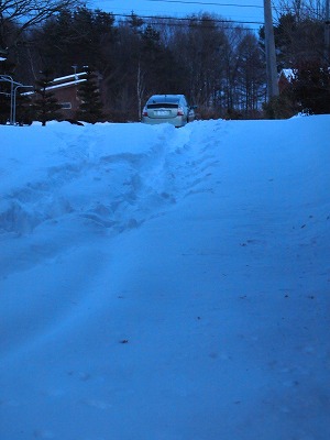 e0008887_2144924.jpg