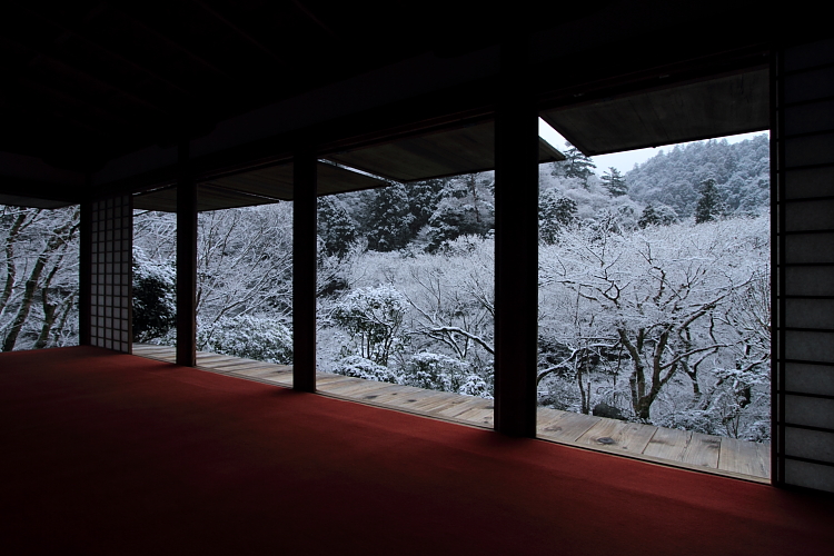 雪の高山寺_e0051888_2134936.jpg