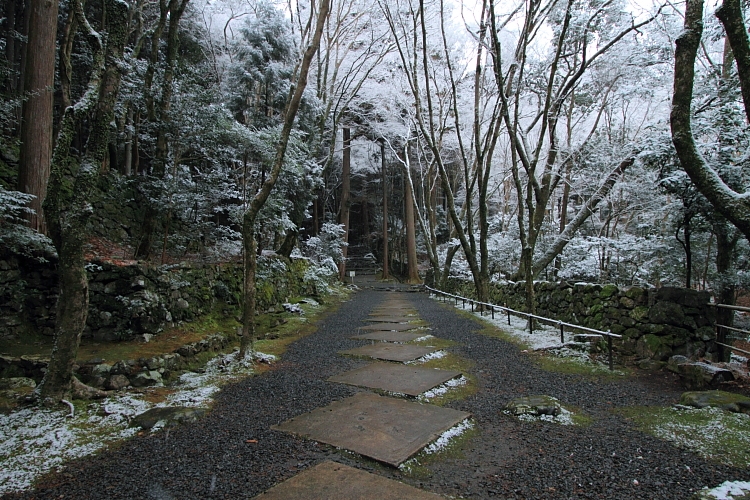 雪の高山寺_e0051888_234775.jpg