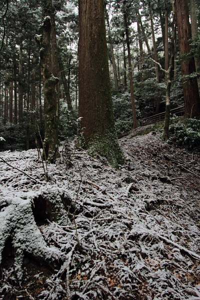 雪の高山寺_e0051888_252470.jpg