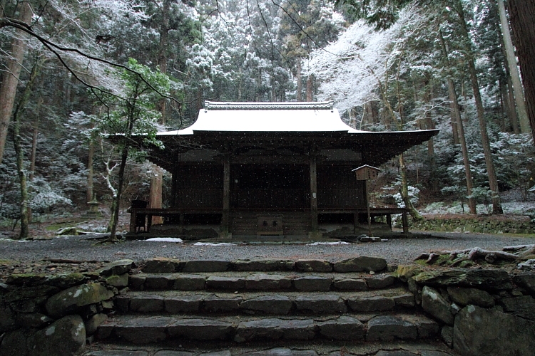 雪の高山寺_e0051888_262269.jpg