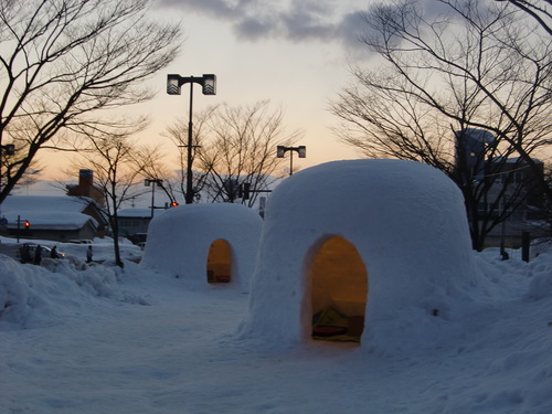 横手の雪まつり_e0145589_17205692.jpg