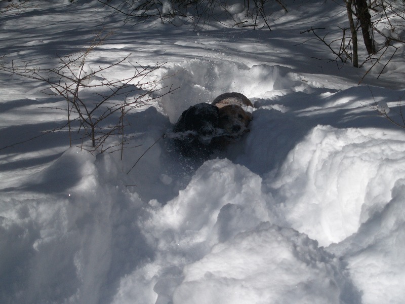 f0234395_15432275.jpg