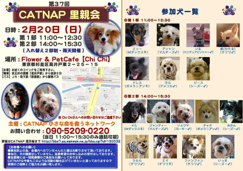 里親会の参加犬が決定しました_f0220497_1761333.jpg