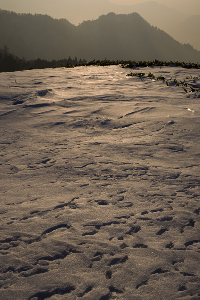 雪の笹ヶ峰_c0145699_14442922.jpg