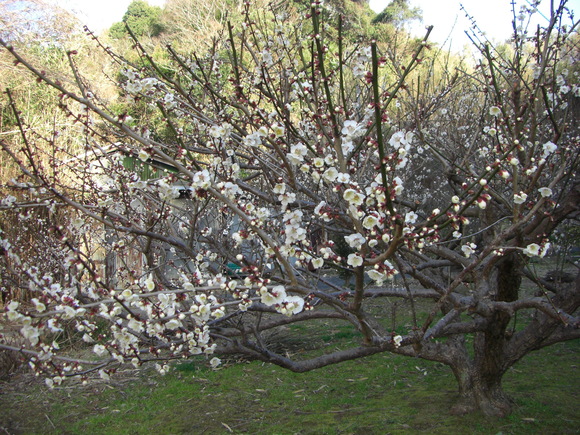 c0125501_9231966.jpg