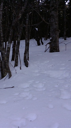 e0028904_21194443.jpg