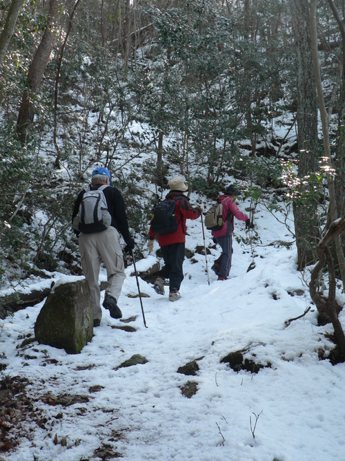 篁山（たかむら山５３５ｍ）_f0219710_75329100.jpg