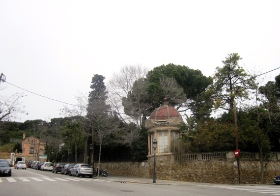 b0064411_73551.jpg
