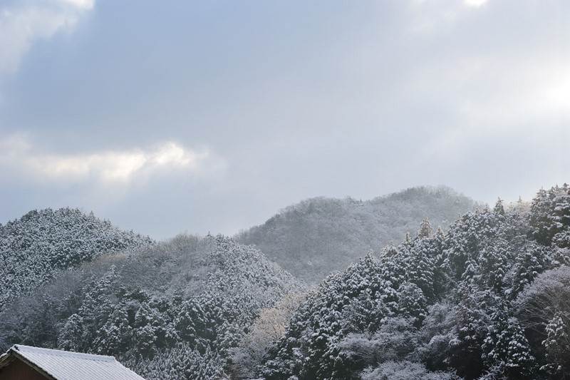 雪景色_f0202613_21431736.jpg