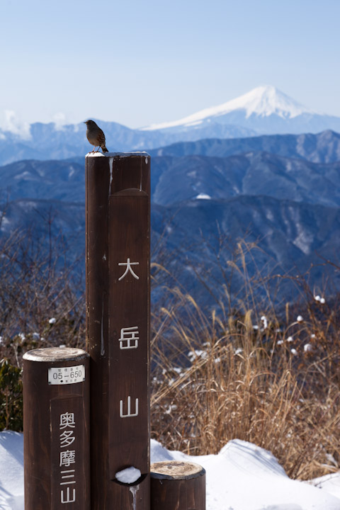 大岳神社から頂上までの道_e0051018_2315114.jpg