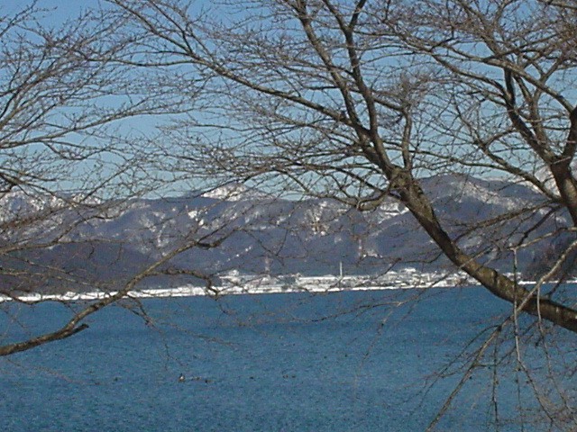 d0004627_2217457.jpg