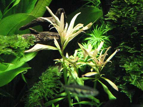 d0200130_07193.jpg