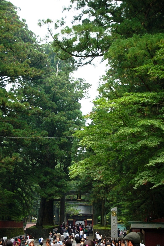 e0206031_1627154.jpg