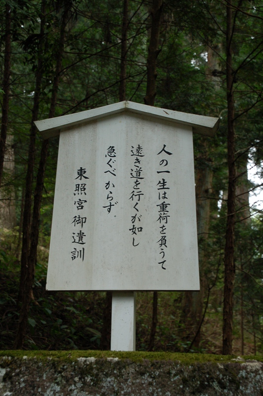 e0206031_1635497.jpg