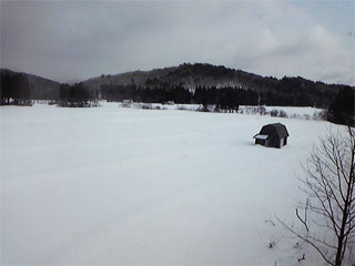 577 (雪道を行け!元茶魔)_e0145833_49594.jpg