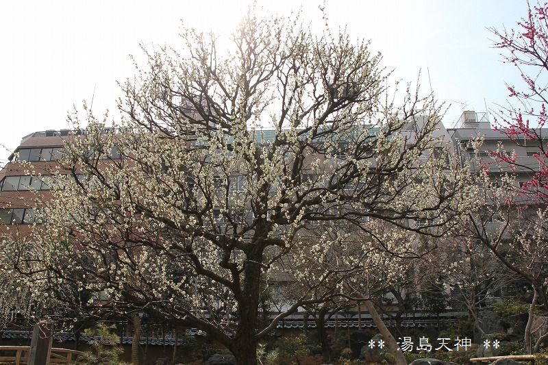 e0052135_21102979.jpg
