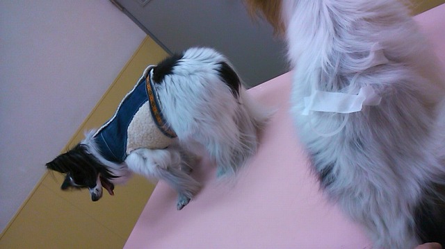 c0048940_01546.jpg