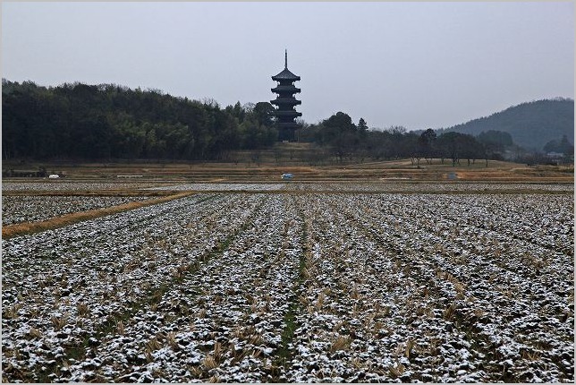 宝福寺_b0210154_1993219.jpg