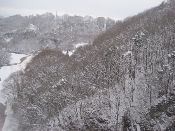 白糸の滝＆氷柱・２０１１_f0236260_18582463.jpg