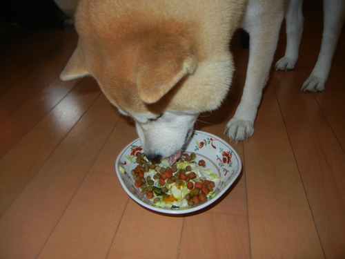 2月17日(木)今日の遼くん!_f0060461_20433624.jpg