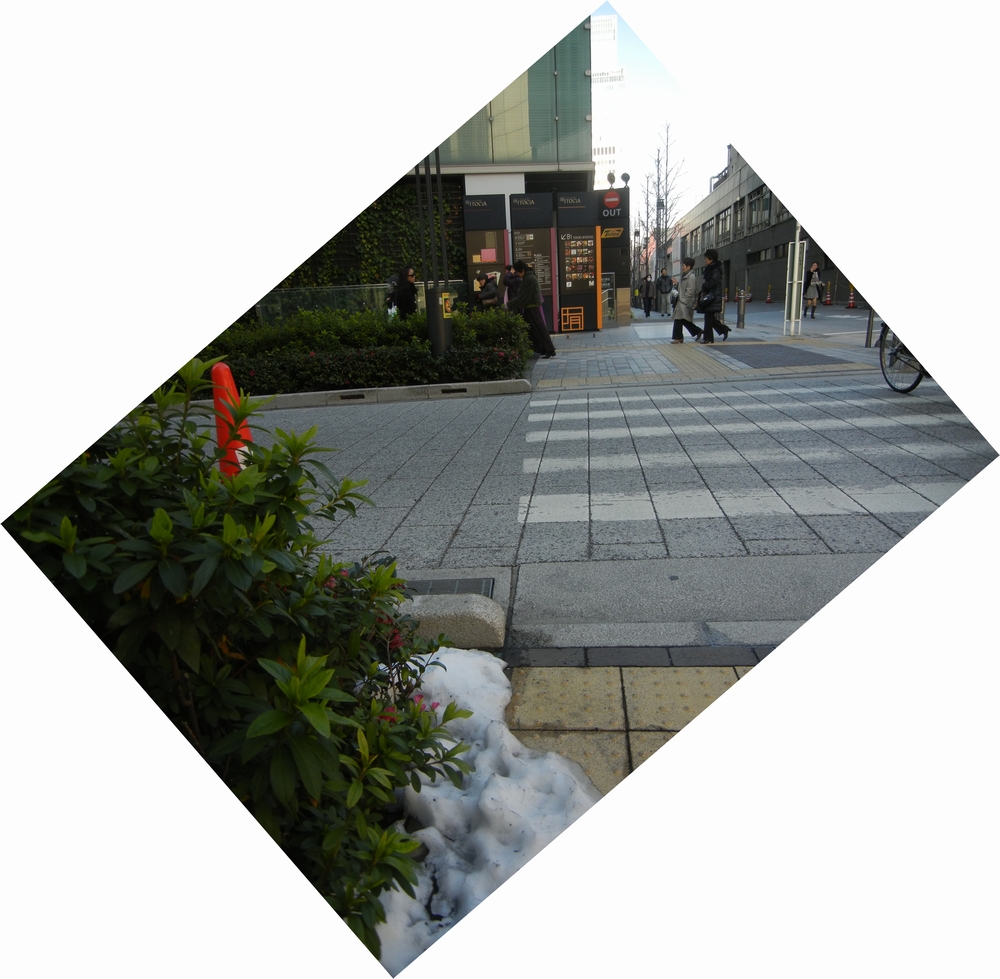 2月16日(水)今日は東京へ!_f0060461_21373629.jpg