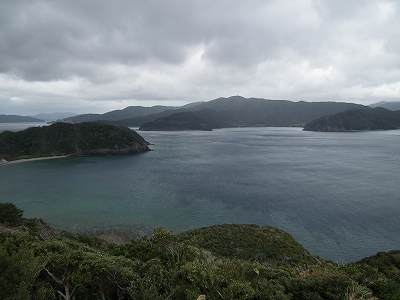 2/14 小宝島経由加計呂麻旅_e0028387_12105274.jpg