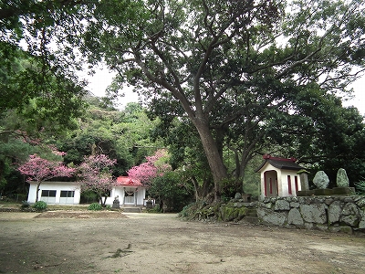 2/14 小宝島経由加計呂麻旅_e0028387_12214034.jpg