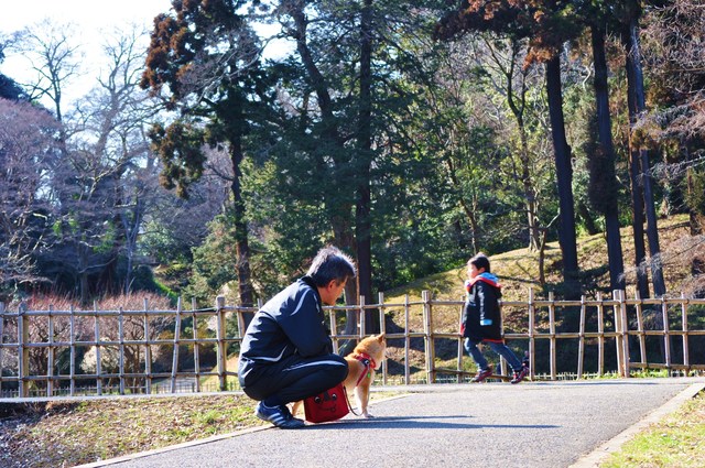 待たされかぼちゃん_a0126590_5472767.jpg
