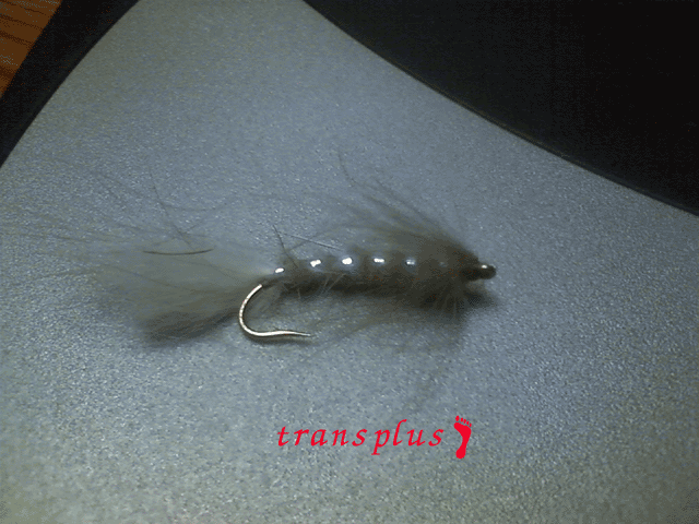 b0031493_23263026.gif