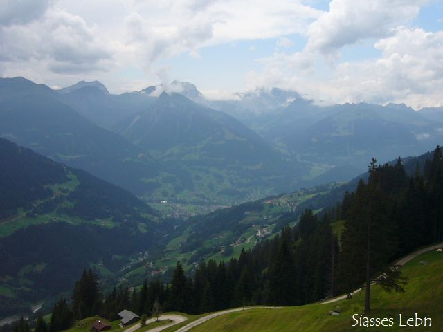 e0088895_1581235.jpg