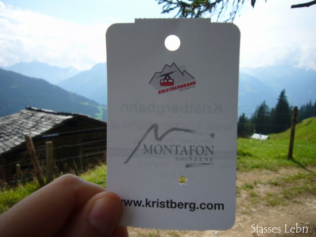 e0088895_201091.jpg