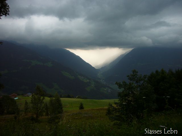 e0088895_23059.jpg