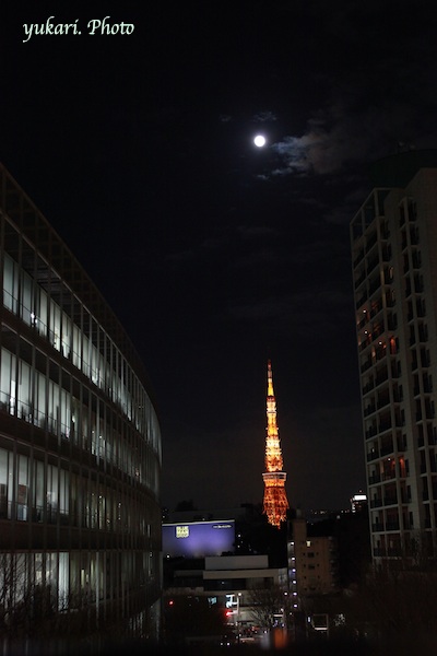 e0218001_0541673.jpg