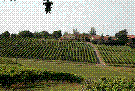 f0055803_1603883.gif