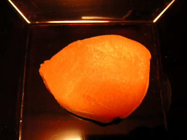 搗栗2_a0056406_743279.jpg