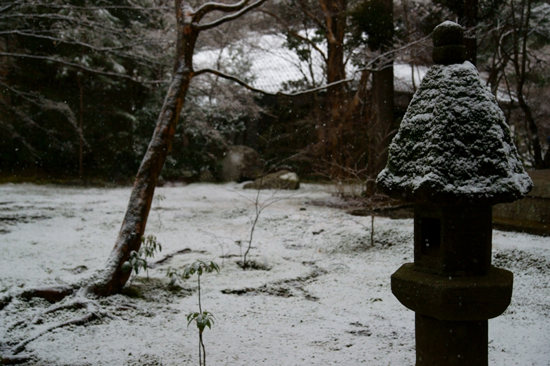 蓮華寺_e0177413_21295695.jpg