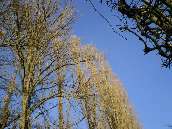 c0124619_0282617.jpg