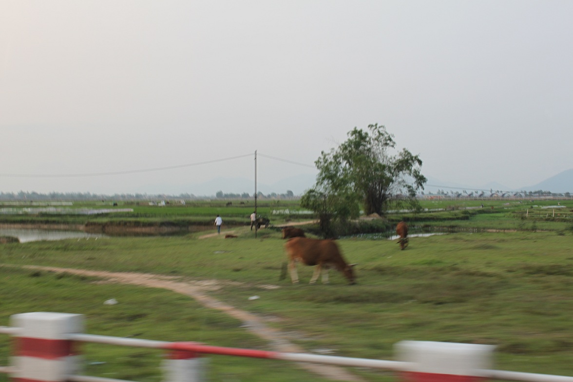 d0021223_1135963.jpg