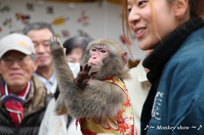 湯島天神のMonkey show~♪_e0052135_15195212.jpg