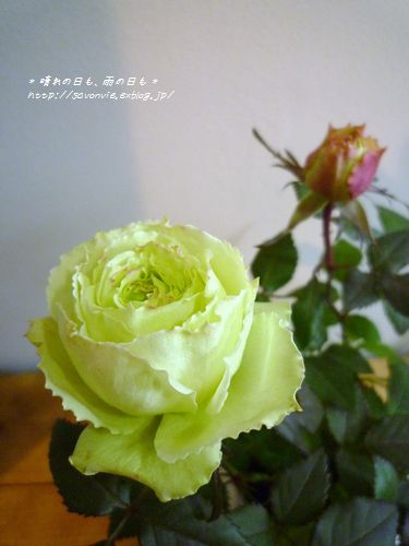 c0193639_17475959.jpg