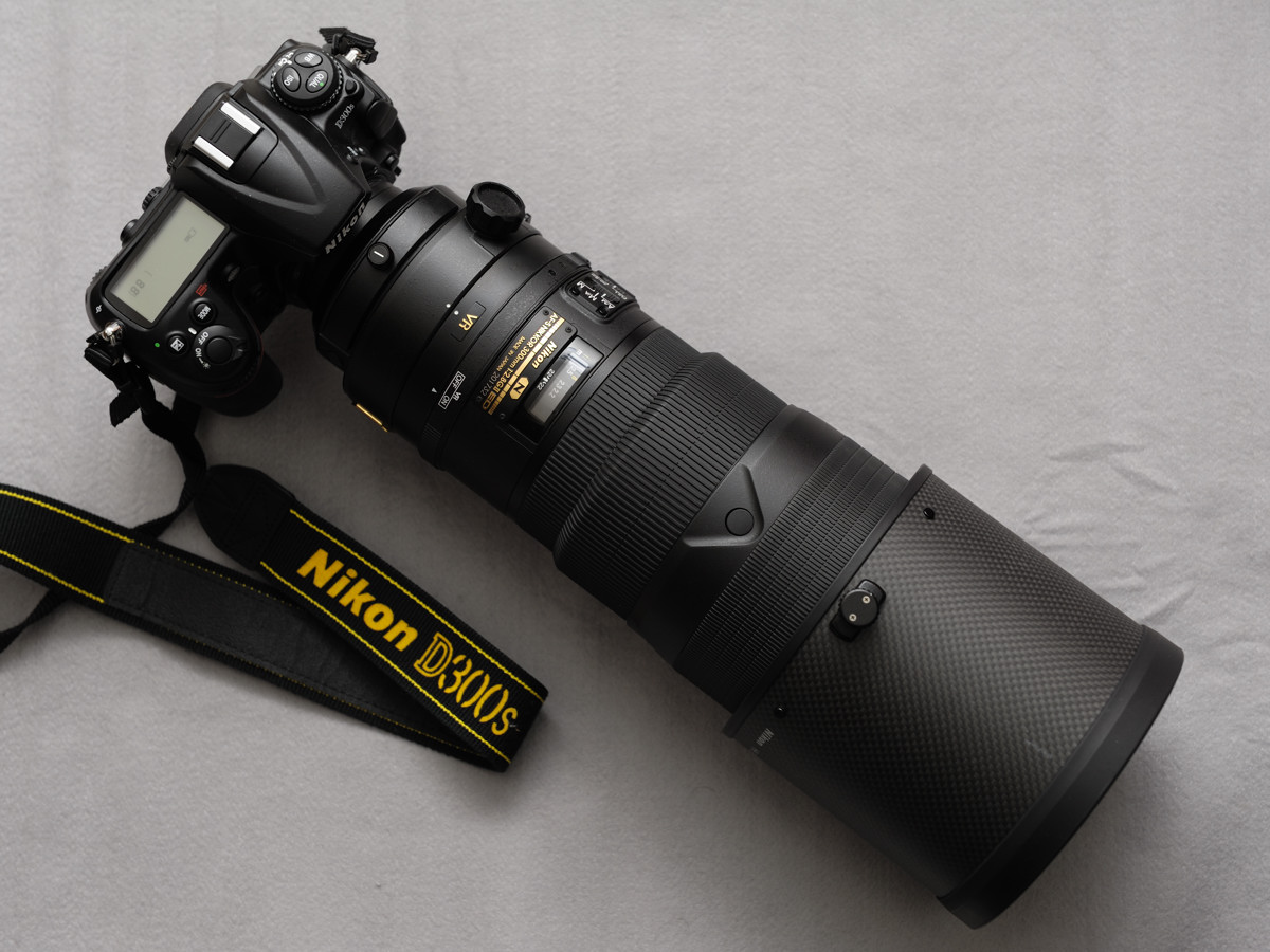 AF-S NIKKOR 300mm f/2.8G ED VR II : 写真置場。 AF-S NIKKOR 300mm f/2.8G ED VR II : 写真置場。