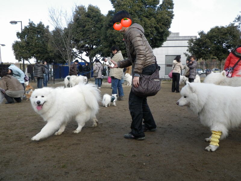 f0172840_01375.jpg