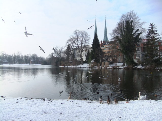 f0210340_65494.jpg