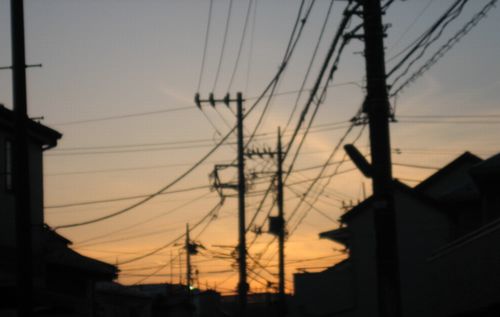 e0082045_1551634.jpg