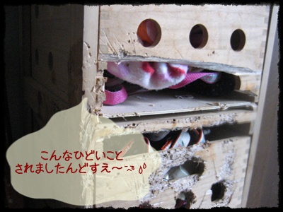 14歳、15歳という年齢って。。。_c0049950_16224476.jpg