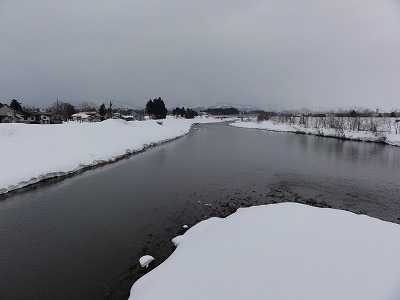 今日は朝から雨白鳥は来ていません_a0084753_15572790.jpg