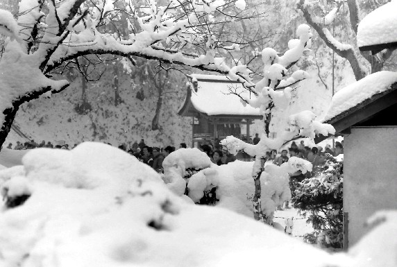  　金剛山樹氷まつり（３）終　　２０２３-０２-１3　００：００_b0093754_2344838.jpg