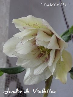 e0118257_18312385.jpg